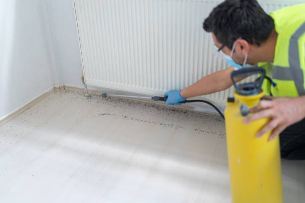 Best Residential Pest Control  in Cabana Colony, FL